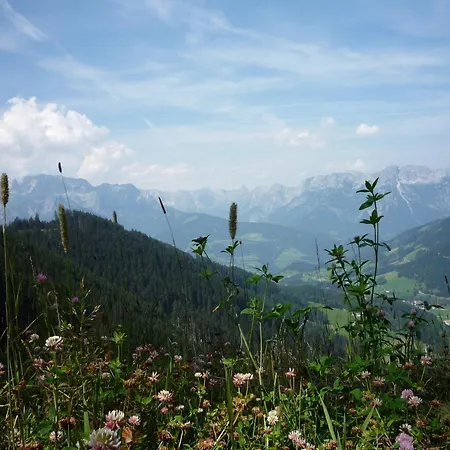 Gasthof-pension Strassreith Konukevi Werfenweng
