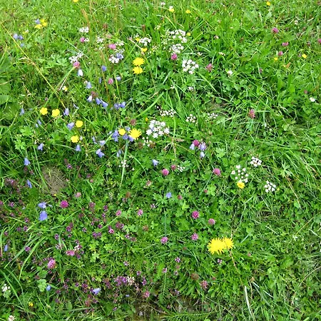 Gasthof-pension Strassreith Werfenweng